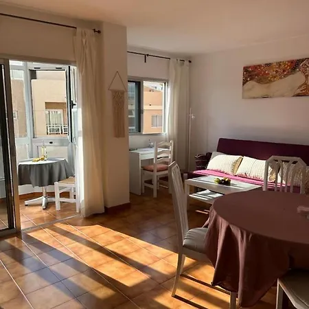 Apartamento Amplio Apartamento Con Garaje,avenida Principes De Espana 15